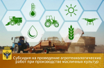 Министерство АПК Херсонской области начинает прием заявок на получение субсидии на проведение агротехнологических работ при производстве масличных культур