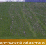 Россельхозцентр оценил состояние озимых в Херсонской области - Министерство АПК и продовольственной политики