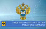 В Федеральную службу государственной статистики требуются специалисты