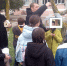 Школьники Скадовского округа провели экологическую акцию «Помощь птицам» - Херсонское агентство новостей