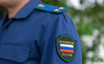 Житель Херсонской области осужден на 2,5 года за экстремистские призывы в соцсети