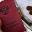 Правительство РФ рассмотрит выделение средств на пенсии в новых регионах - Правительство Херсонской области