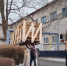 Алешкинский психоневрологический детский дом-интернат получил гуманитарную помощь - Херсонское агентство новостей