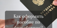 Как оформить пособие по безработице: полный алгоритм и необходимые документы - Служба занятости населения