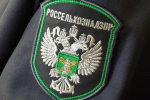Россельхознадзор пресек нелегальный ввоз в Крым бараньих туш из Херсонской области