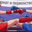 Кикбоксеры из Новой Каховки завоевали семь медалей на чемпионате ЮФО - Херсонское агентство новостей