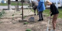 Альманах «Пульс региона». Новости воскресенья, 29 марта - Херсонское агентство новостей