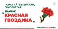 В Херсонской области стартует Всероссийская акция «Красная гвоздика» - Правительство Херсонской области