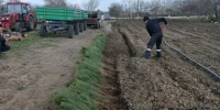 В Буркутском лесничестве высадили более 30 тысяч деревьев - Херсонское агентство новостей
