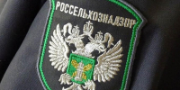 В Херсонской области прошли три фитосанитарных рейда - Херсонское агентство новостей