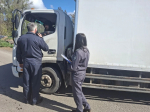 В Херсонской области пресекли перевозку более 300 кг мяса без документов