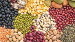 Специалисты ЦОК АПК проверили более 40 видов херсонской продукции на соответствие карантинным требованиям