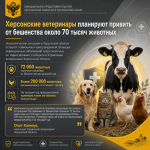 В Херсонской области планируют привить от бешенства около 70 тысяч животных