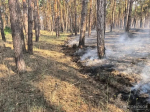 В Херсонской области 29–30 августа ожидается чрезвычайная пожароопасность