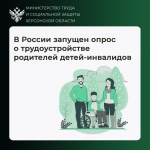 «Голос родителя — основа перемен»: в России запущен опрос о трудоустройстве родителей детей-инвалидов