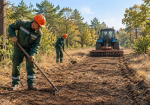 За сентябрь в Херсонской области обустроили и обновили 131,1 км противопожарных минерализованных полос